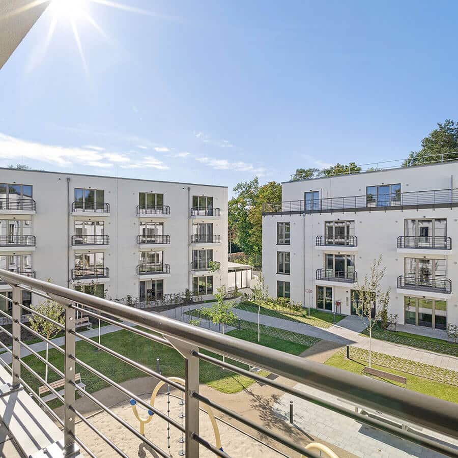 Belle luise 12